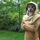 Illustration for article titled Khajiit Has Cosplay If You Have Coin...